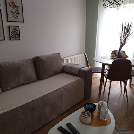 Apartman Element Kruševac Exteriér fotografie