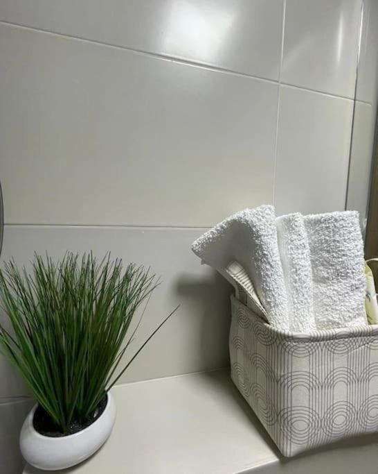 Apartman Element Kruševac Exteriér fotografie